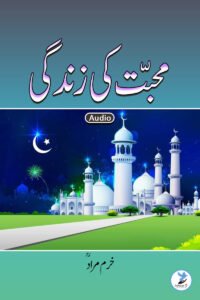 Mohabbat Ki Zindagi
