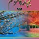 Bahar ka Mousam