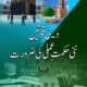 Deeni Quwwatain : Nayi Hikmat e Amli Ki Zaroorat