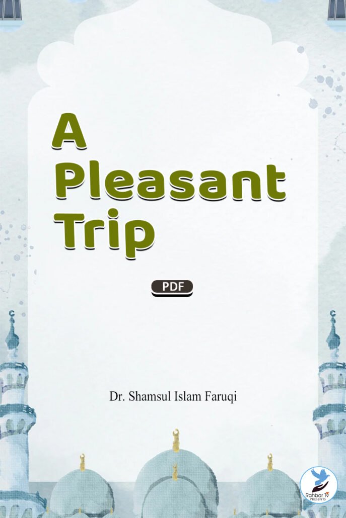 A Pleasant Trip