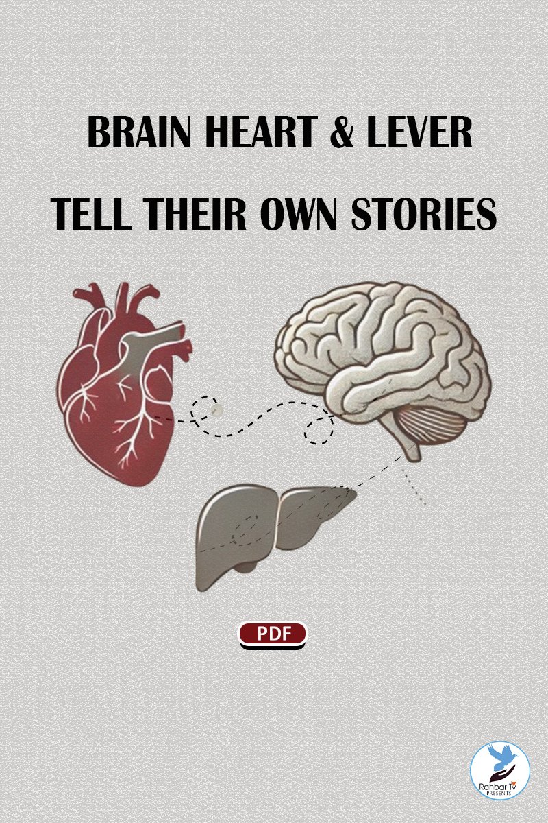BRAIN HEART LIVER