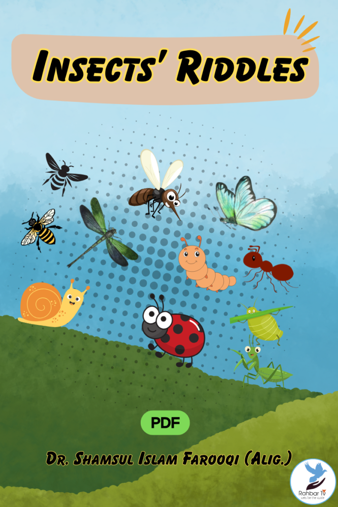Insects Riddles